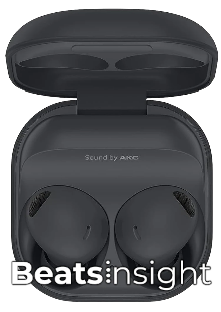 Samsung Galaxy Buds 2 Earbuds