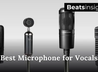 Best Microphone for Vocals