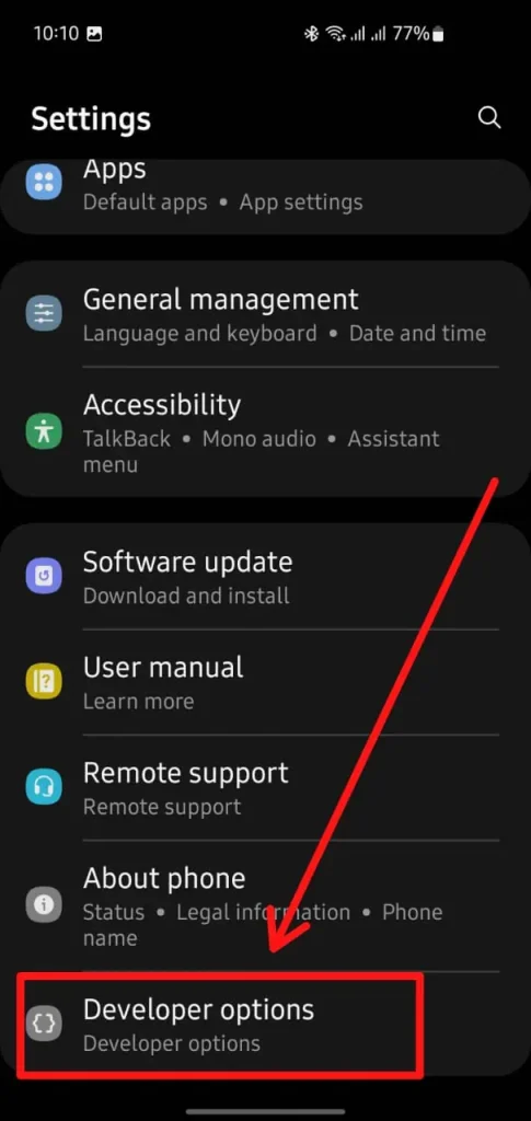 Settings menu showing Developer Options.